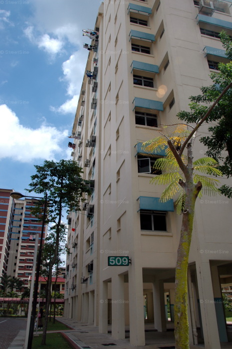 Blk 509 Pangshan Court (Bukit Panjang), HDB 4 Rooms #219792